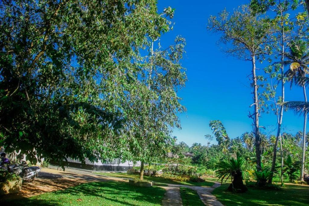 The Glade Weligama Exterior foto